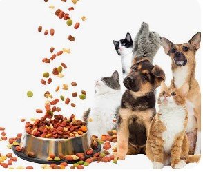 NEKKO Kitten Pouch Tuna Mousse 70gm (Copy) (Copy)