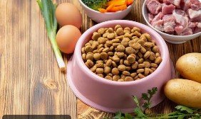 NEKKO Kitten Pouch Tuna Mousse 70gm (Copy)